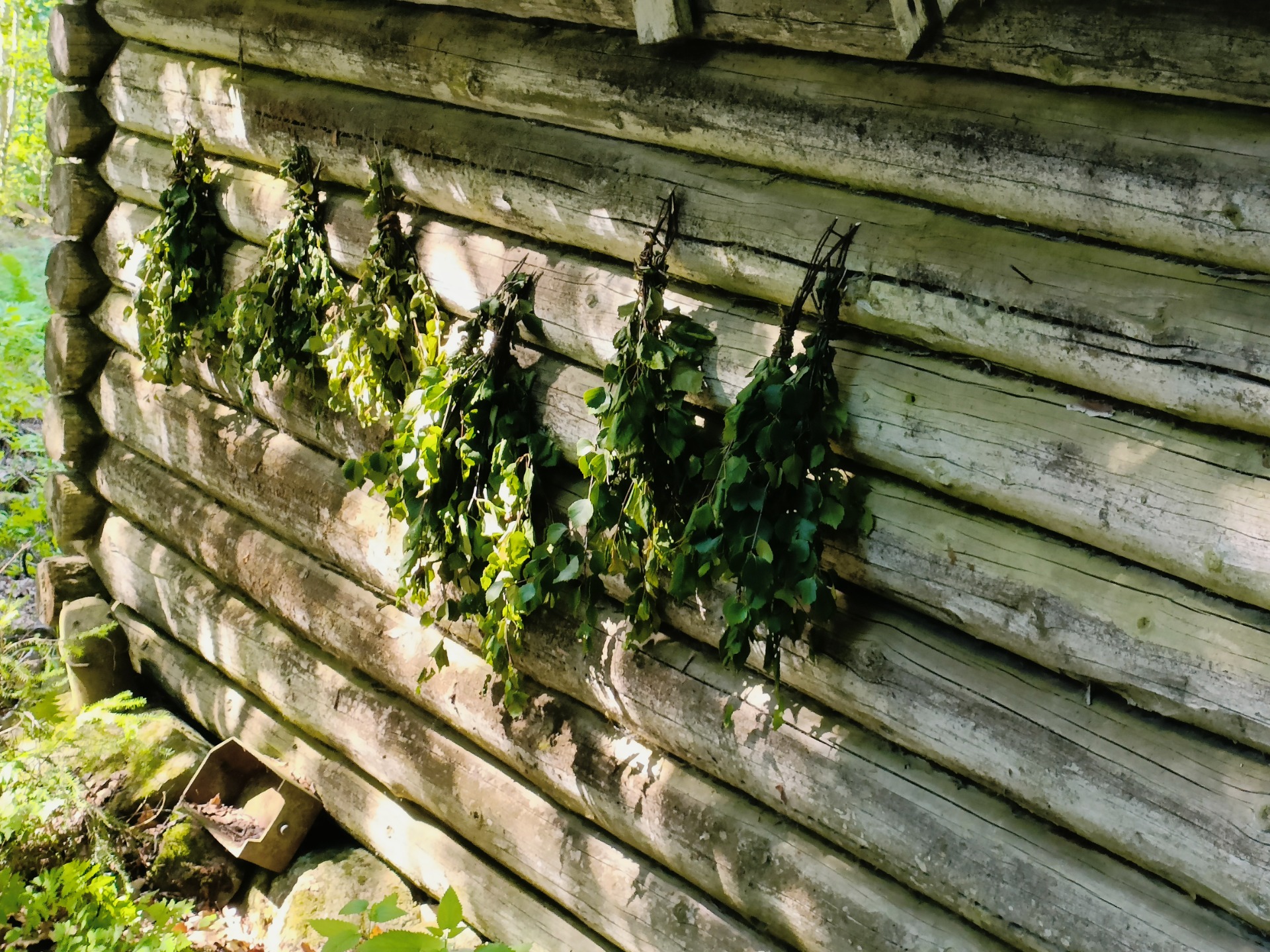Badstukvaster til tørk